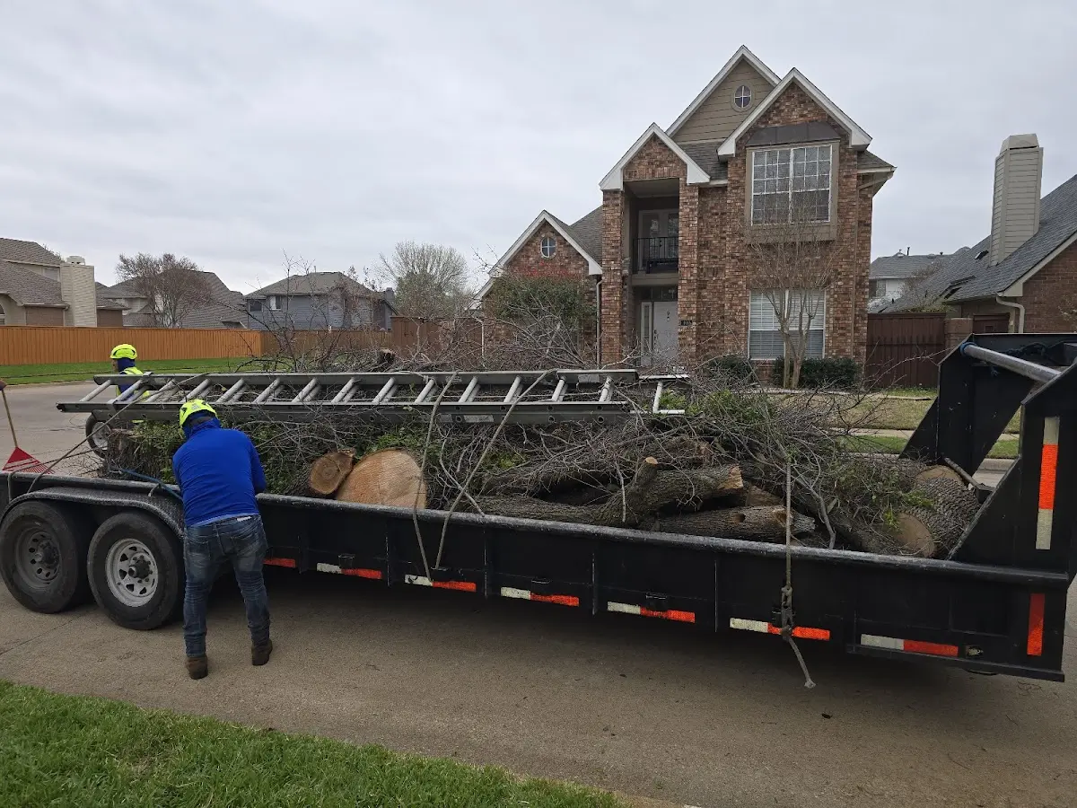 Expert Lot Clearing with proper safety equipment in Madison